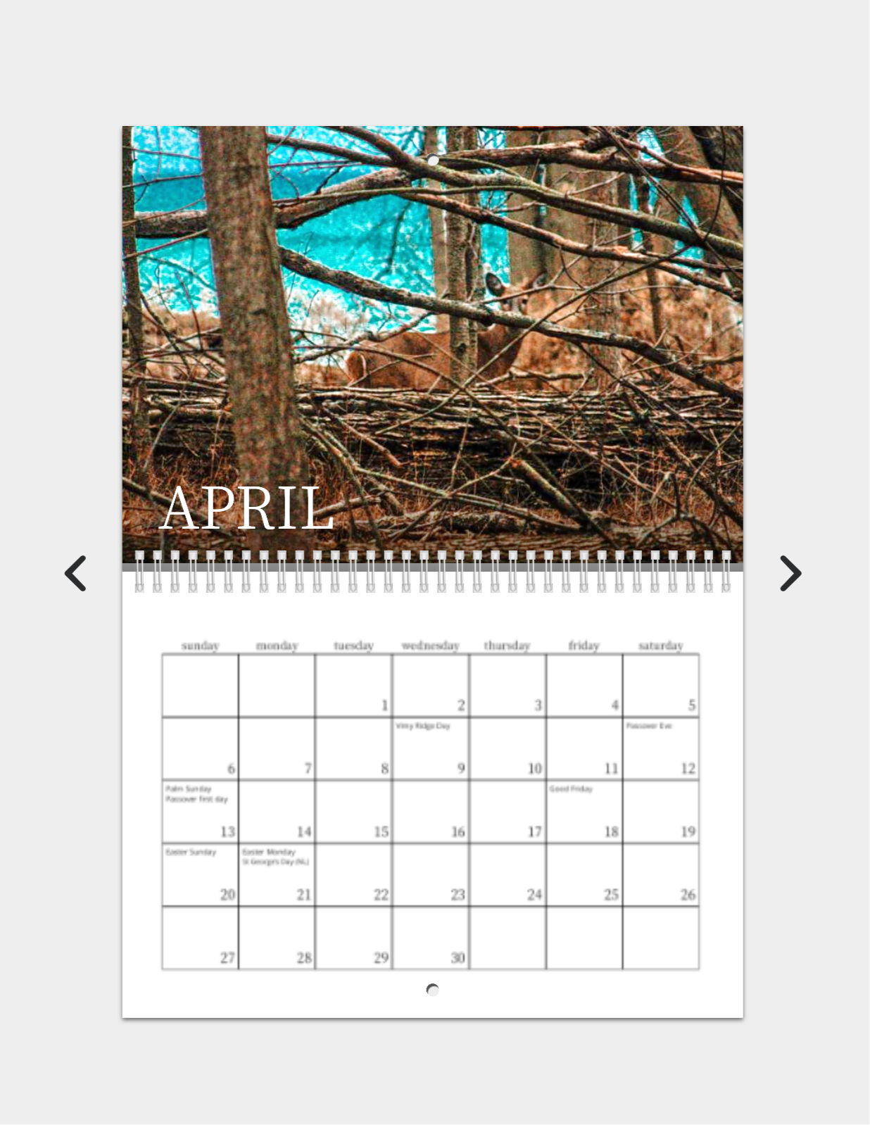 A Kawartha Lakes Collection by Rustic Photography by L: 2025 Calendar