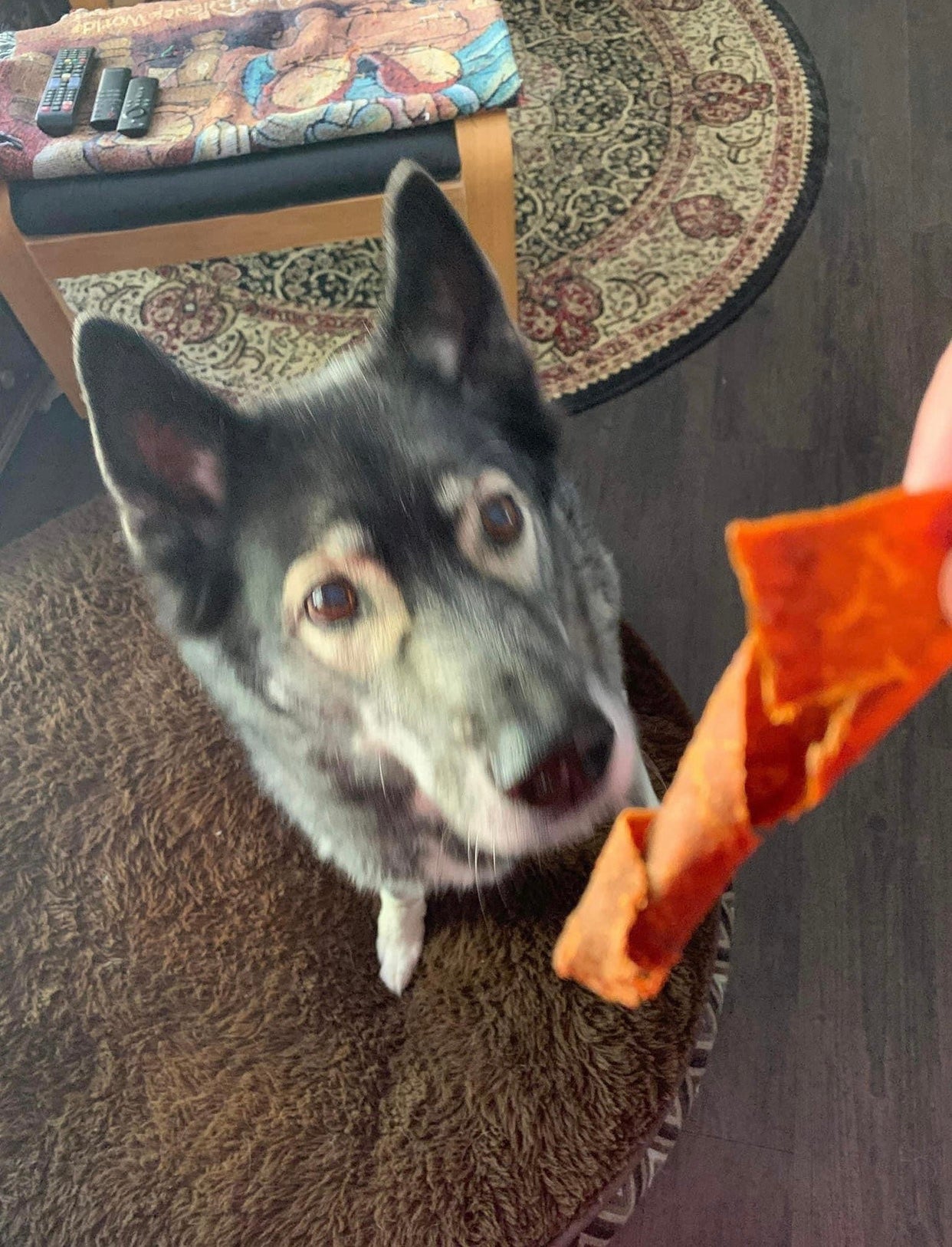 Dawson’s Favorite Pumpkin Pie Jerky Dog Treats