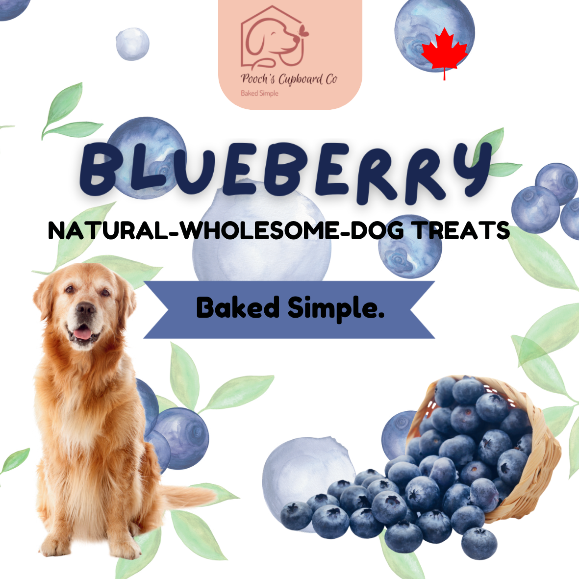 Blueberry Dog Treats